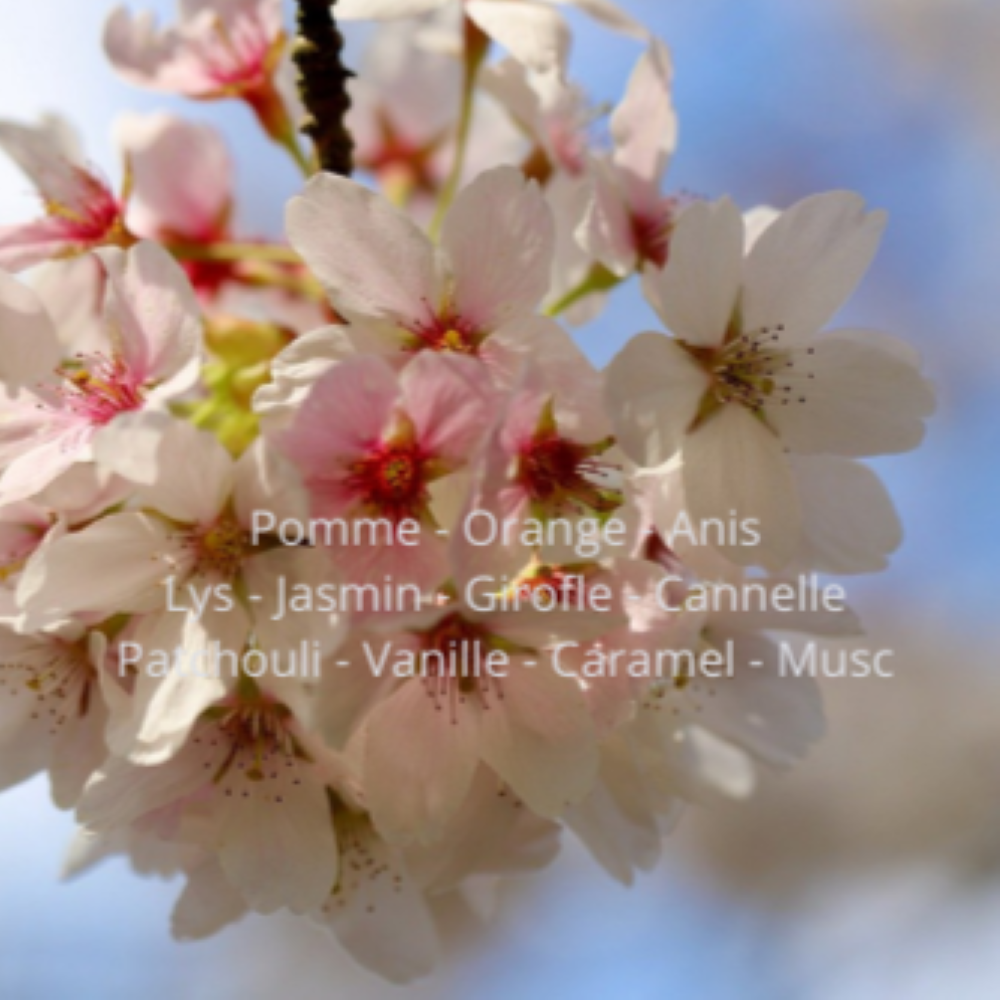 cherry blossom and plum fondants