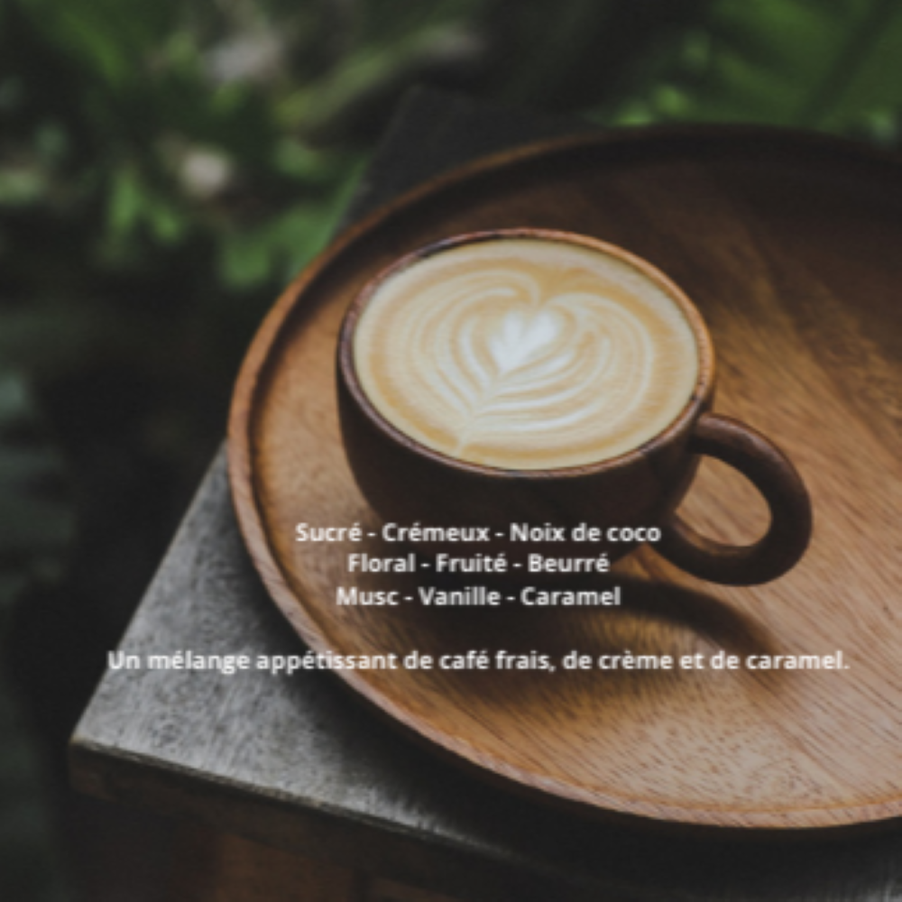 mocha fondants