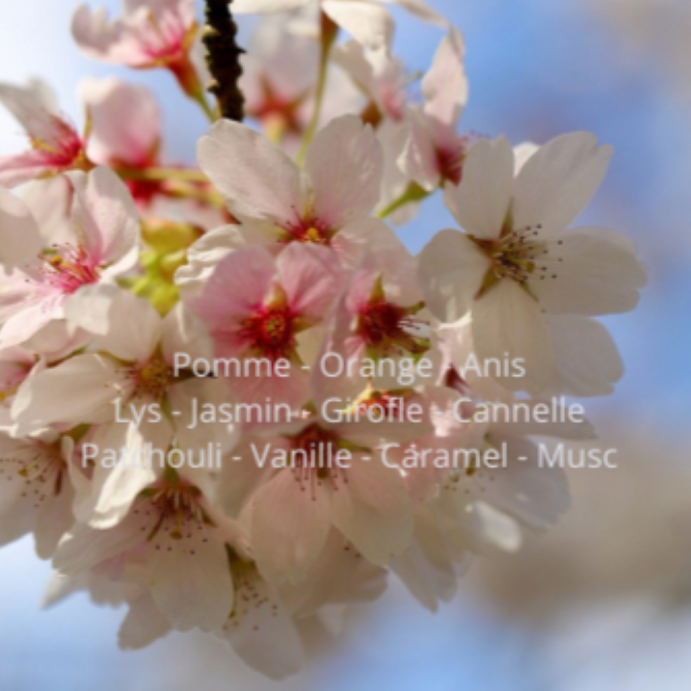 fondants fleurs de cerisier et prune